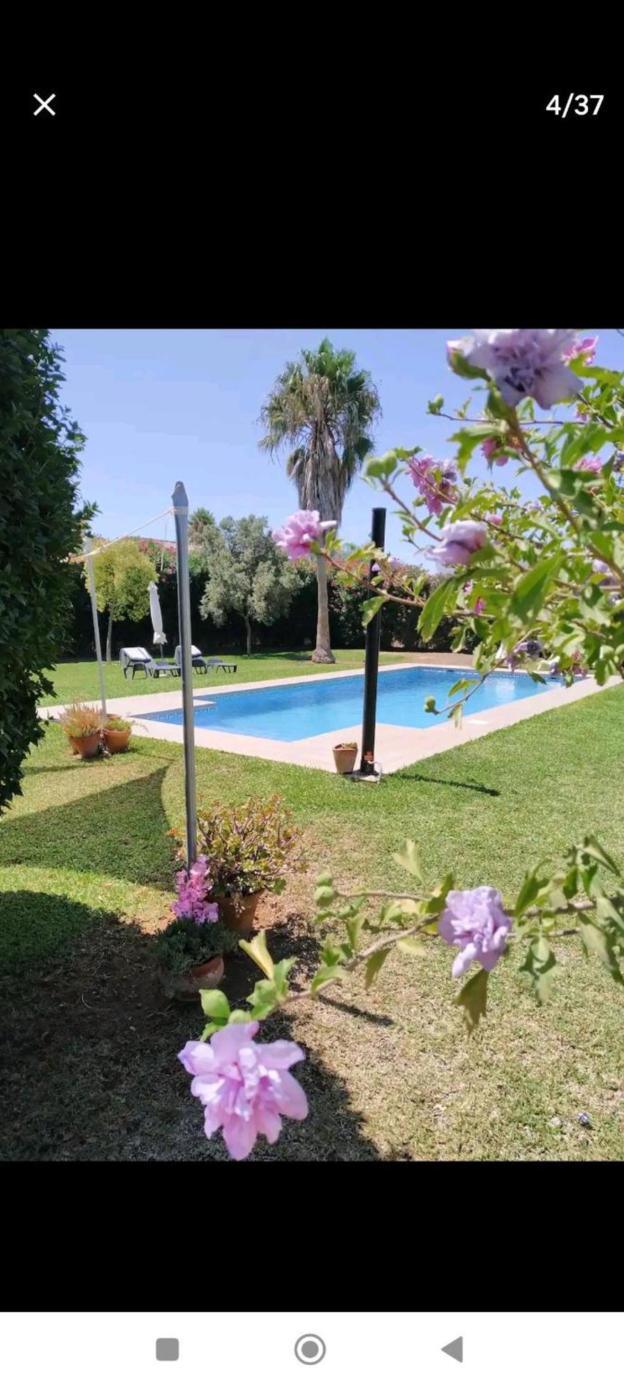 فيلا كاديزفي Chalet Piscina Roche المظهر الخارجي الصورة